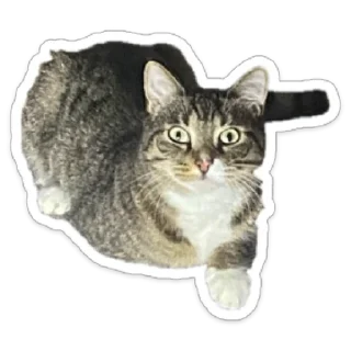 Стикер Валентин - 10