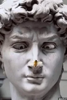 Sticker Crazy Art @stickersb2b - 3