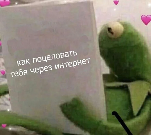 СМС птица попугай