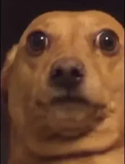 Стикер Cristhian_Spyegel - 2