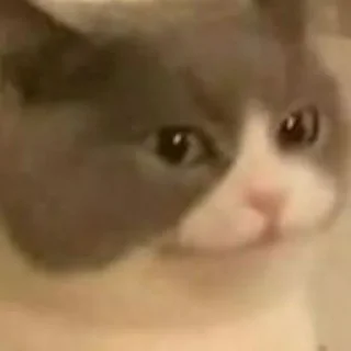 Стикер Cristhian_Spyegel - 1