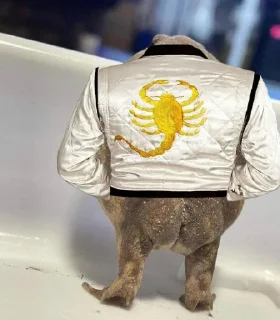 Стикер Cristhian_Spyegel - 3