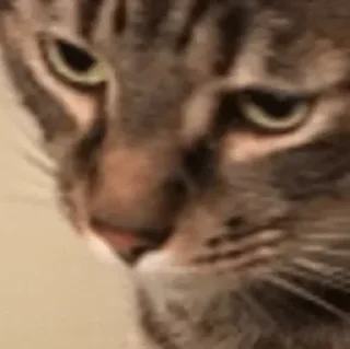 Стикер Cristhian_Spyegel - 11