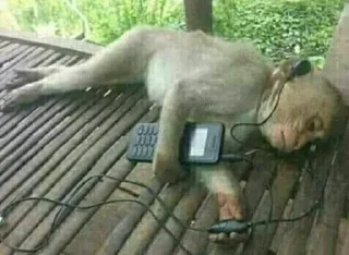 Стикер Cristhian_Spyegel - 9