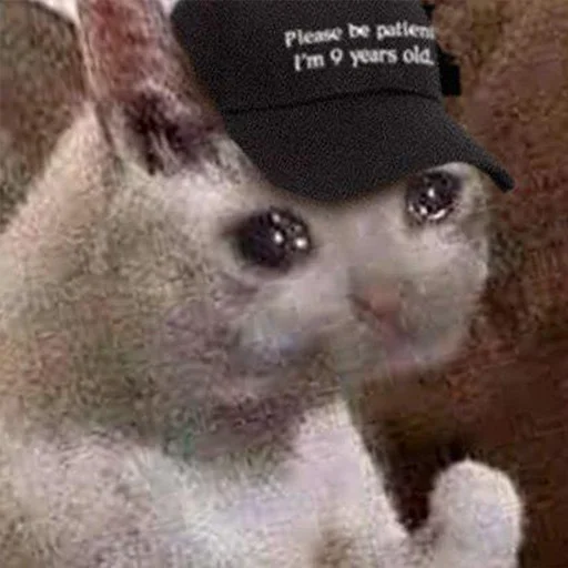 млекопитающее животное мех