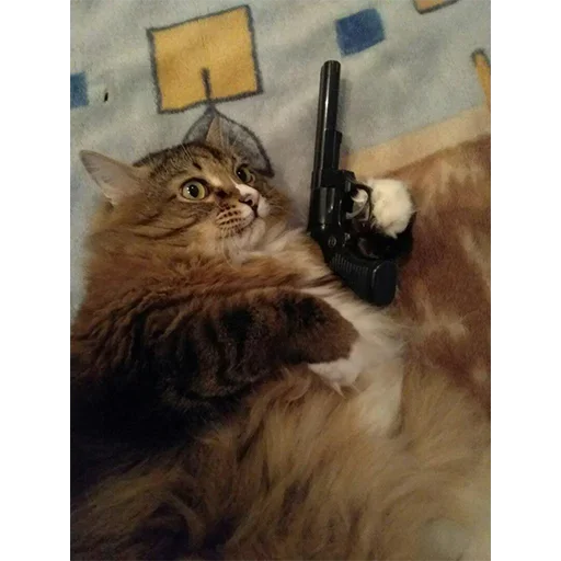 животное млекопитающее кошка