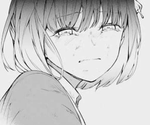 sketch illustration line art