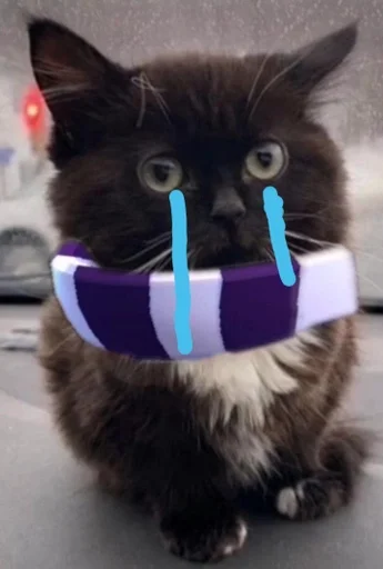 кошки малого и среднего размера кошачьи мех