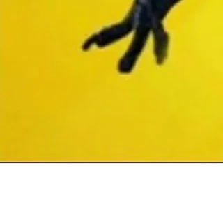 Sticker Crow @StickersDVM2 - 4