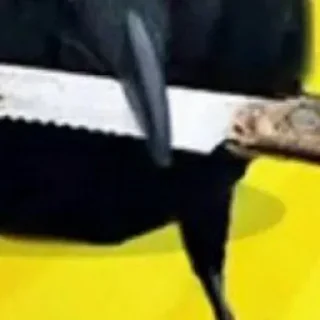 Sticker Crow @StickersDVM2 - 0