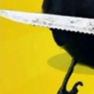 Sticker Crow @StickersDVM2 - 7