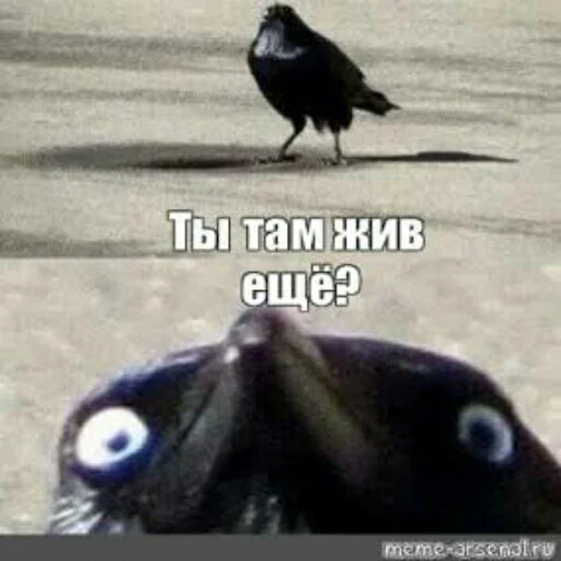 Sticker Crow_Fox - 1