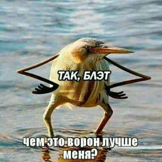 Sticker Ворон&Лисица - 3