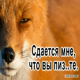 Sticker Ворон&Лисица - 8