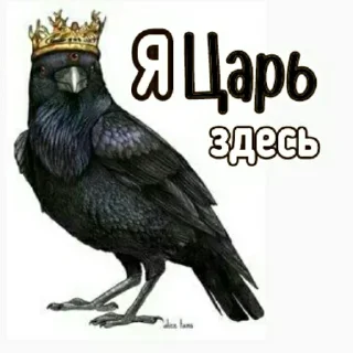 Sticker Ворон&Лисица - 6