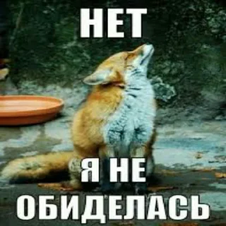 Sticker Ворон&Лисица - 11