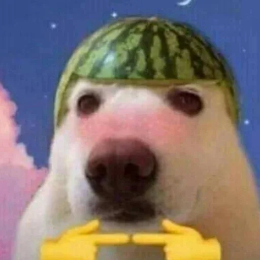 Стикер Komal - 2