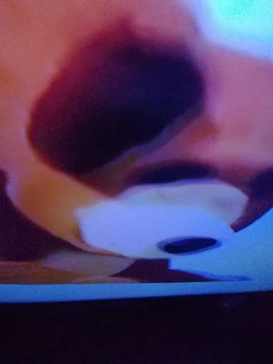 Sticker миша хуй от мандариша :: @fStikBot - 8