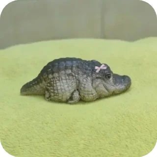 Стикер Крокодил @TgEmodziBot - 7