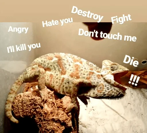 Sticker рептилоиды - 9