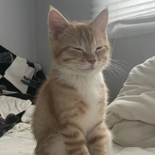 Sticker CtStickerslovez - 1