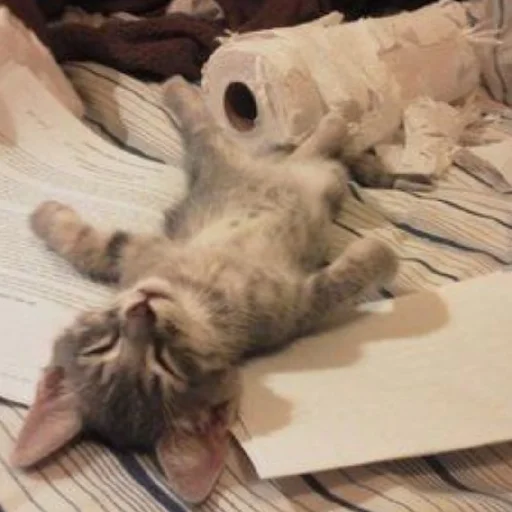 Sticker CtStickerslovez - 1