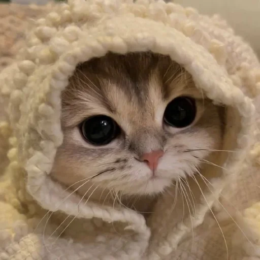 Sticker CtStickerslovez - 1