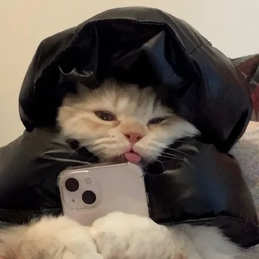 Sticker CtStickerslovez - 1