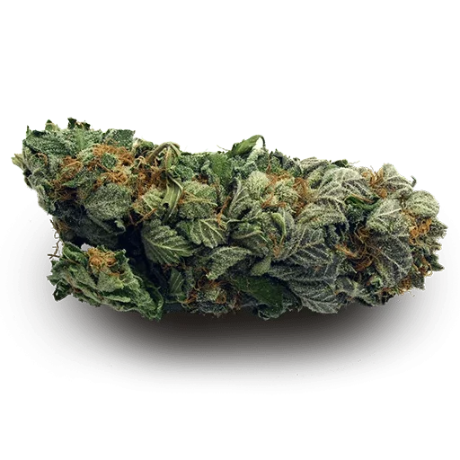 Стик-пик by @fStikBot - СМС