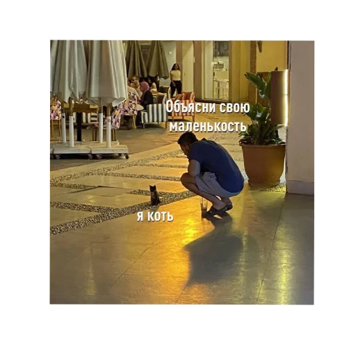 обувь Человек одежда