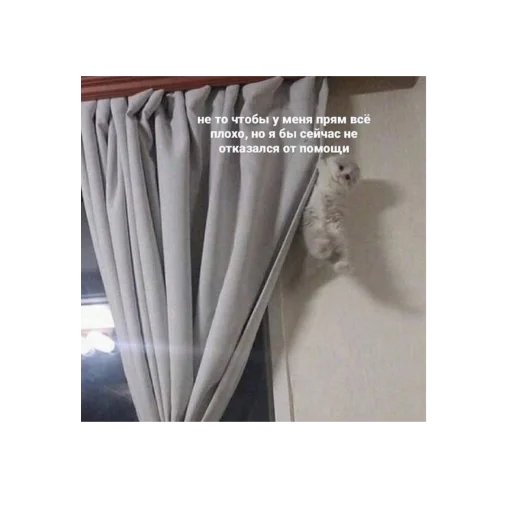 занавеска СМС комнатный