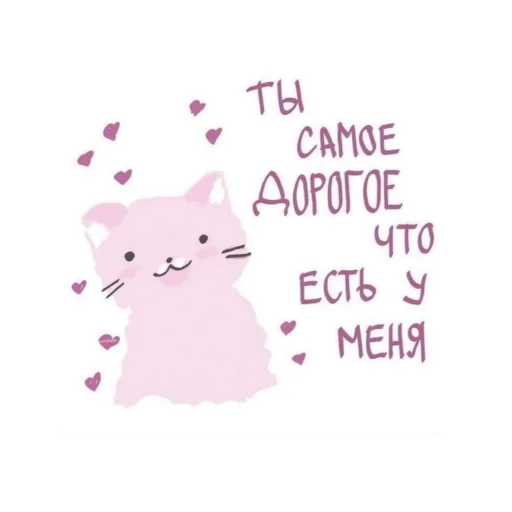 СМС кошка животное