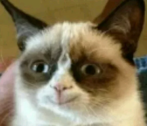 Sticker گربه ی خاص :] - 10