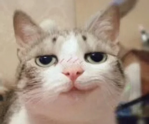 Sticker گربه ی خاص :] - 6