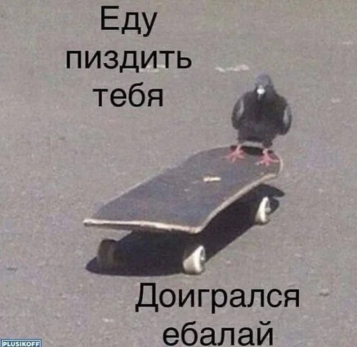 text outdoor skateboard