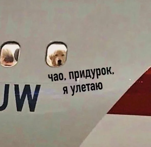 text screenshot design