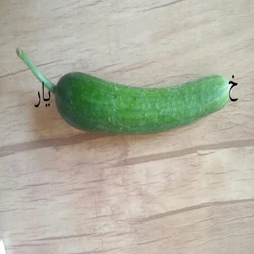 Cucumber - 