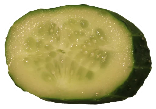 Sticker Cucumber Essentials - 11