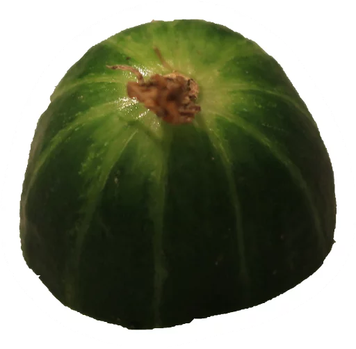 Sticker Cucumber Essentials - 10