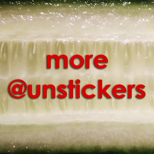 Sticker Cucumber Essentials - 9