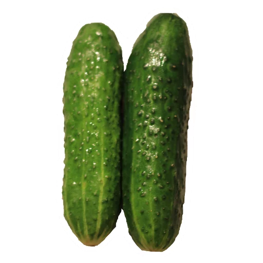 Sticker Cucumber Essentials - 8