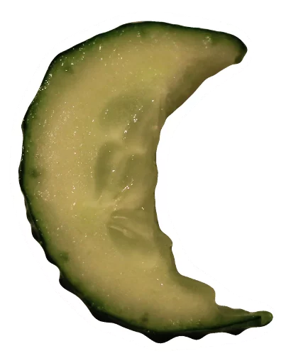 Sticker Cucumber Essentials - 7