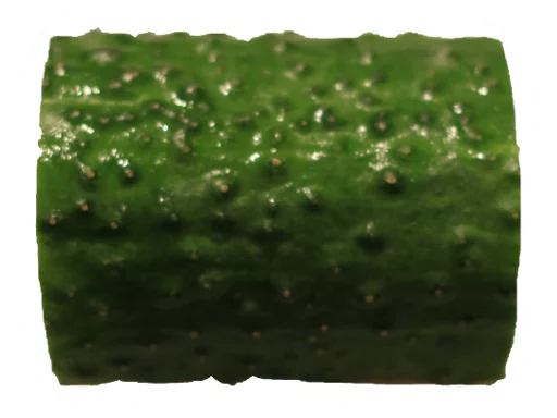 Sticker Cucumber Essentials - 5