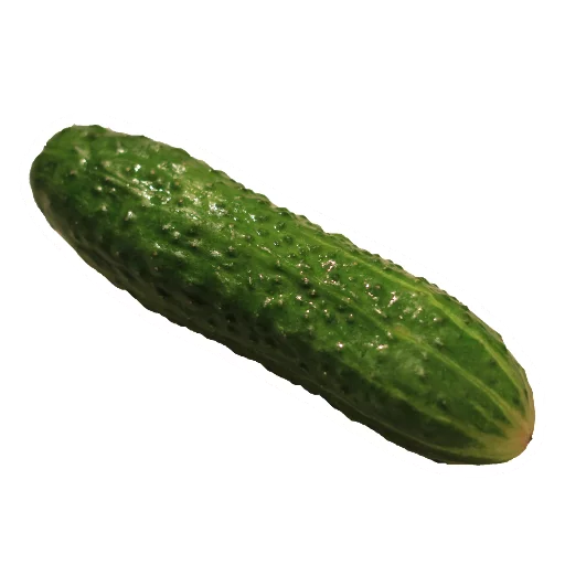 Sticker Cucumber Essentials - 3