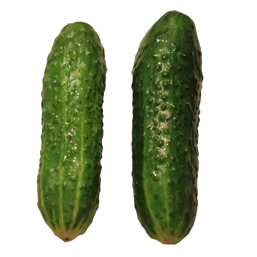 Sticker Cucumber Essentials - 2