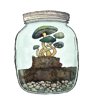 Sticker Чудеса в баночках - 2