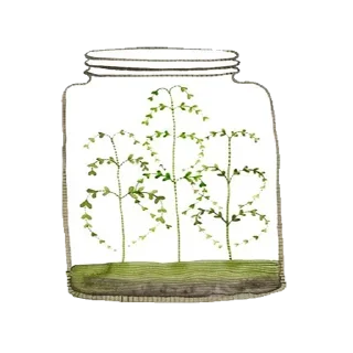 Sticker Чудеса в баночках - 6