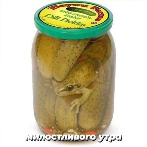 контейнеры для хранения пищевых продуктов консервированная пища консервирование