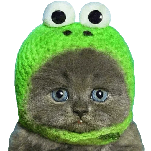 Sticker Welcome to the cumzone - 4