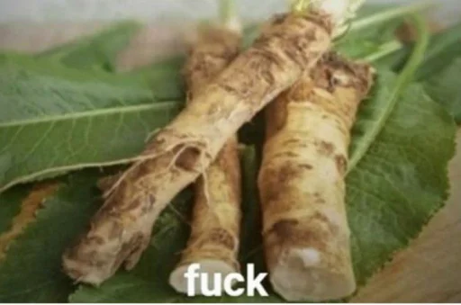 vegetable root vegetable plant